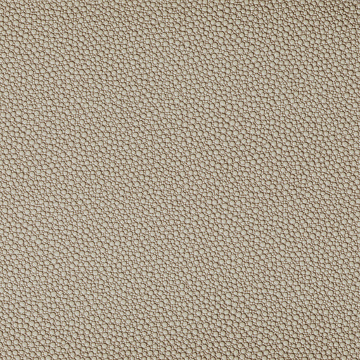 KRAVET CONTRACT - FETCH- STONE - Fabric by the Yard STONE