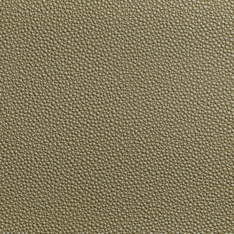 KRAVET CONTRACT - FETCH- RADIANT - Fabric by the Yard RADIANT