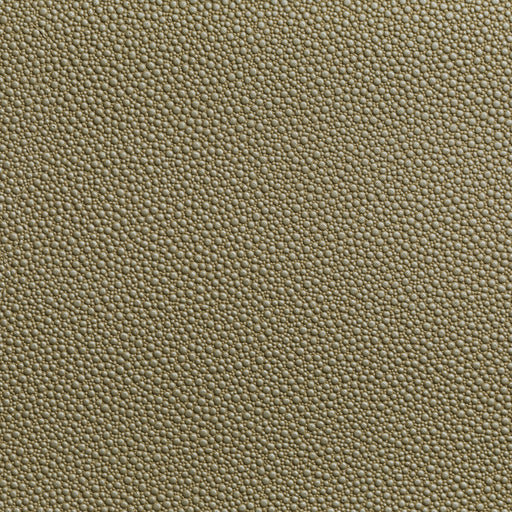 KRAVET CONTRACT - FETCH- RADIANT - Fabric by the Yard RADIANT