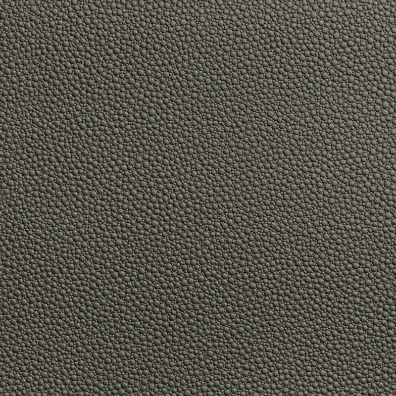KRAVET CONTRACT - FETCH- GRANITE - Fabric by the Yard GRANITE