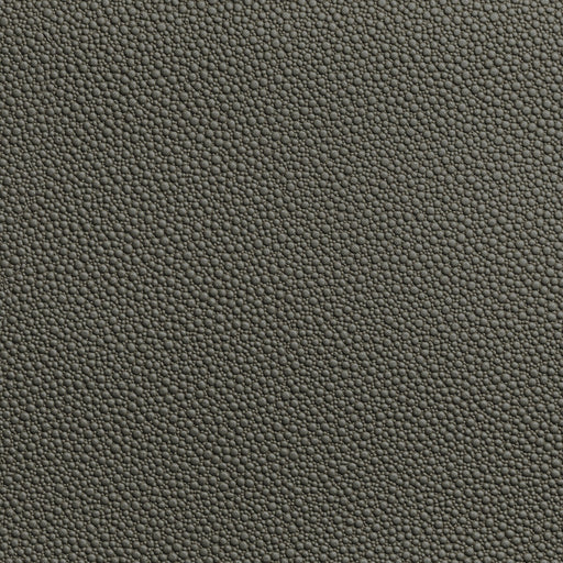 KRAVET CONTRACT - FETCH- GRANITE - Fabric by the Yard GRANITE