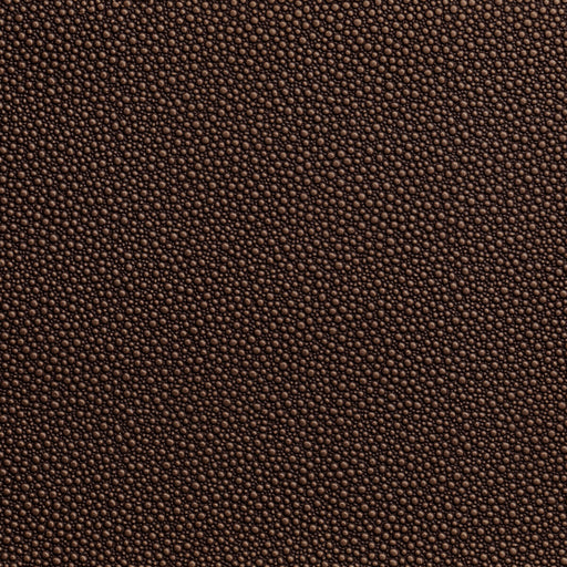 KRAVET CONTRACT - FETCH - Fabric By the Yard