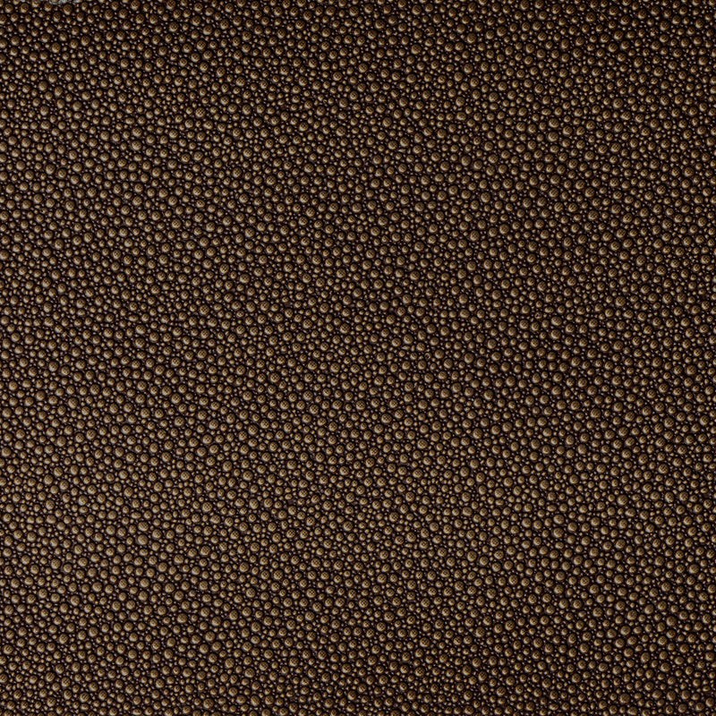 KRAVET CONTRACT - FETCH- BURNISH - Fabric by the Yard BURNISH