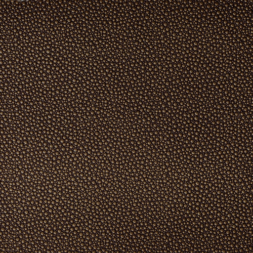 KRAVET CONTRACT - FETCH- BURNISH - Fabric by the Yard BURNISH
