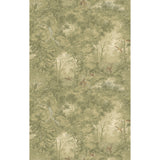 MULBERRY - MULBERRY WOODLAND- MISTY MORNING - Wallcovering by the Roll