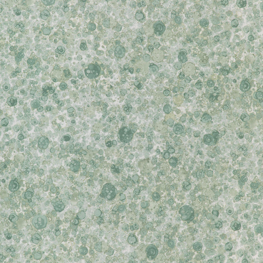 KRAVET BASICS - FIZZLED- MINT - Fabric by the Yard MINT