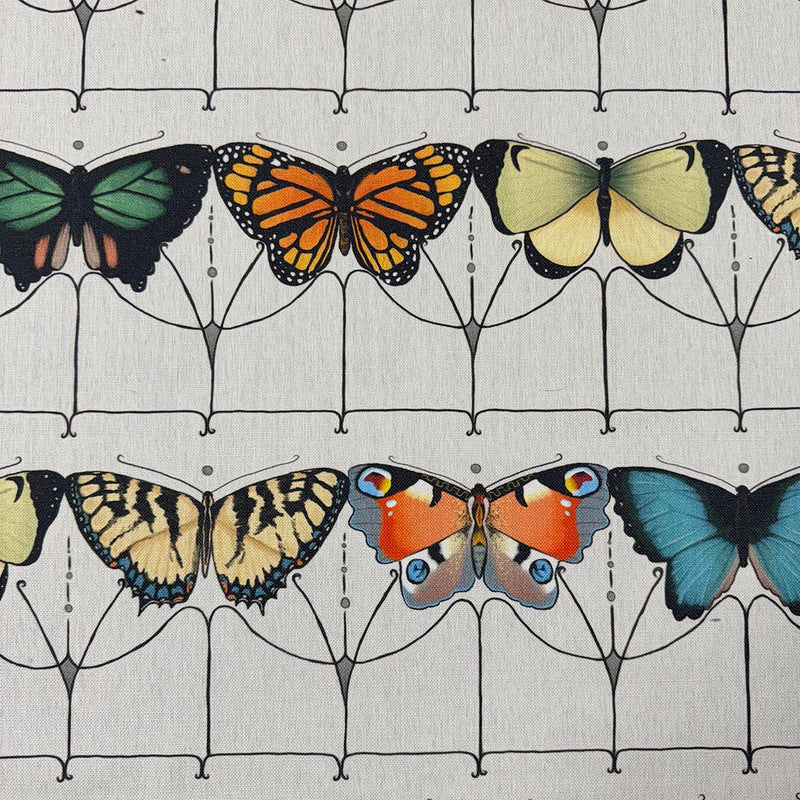 FLUTTER - CHROMATIC - Mag Fabrics - Fabric By The Yard