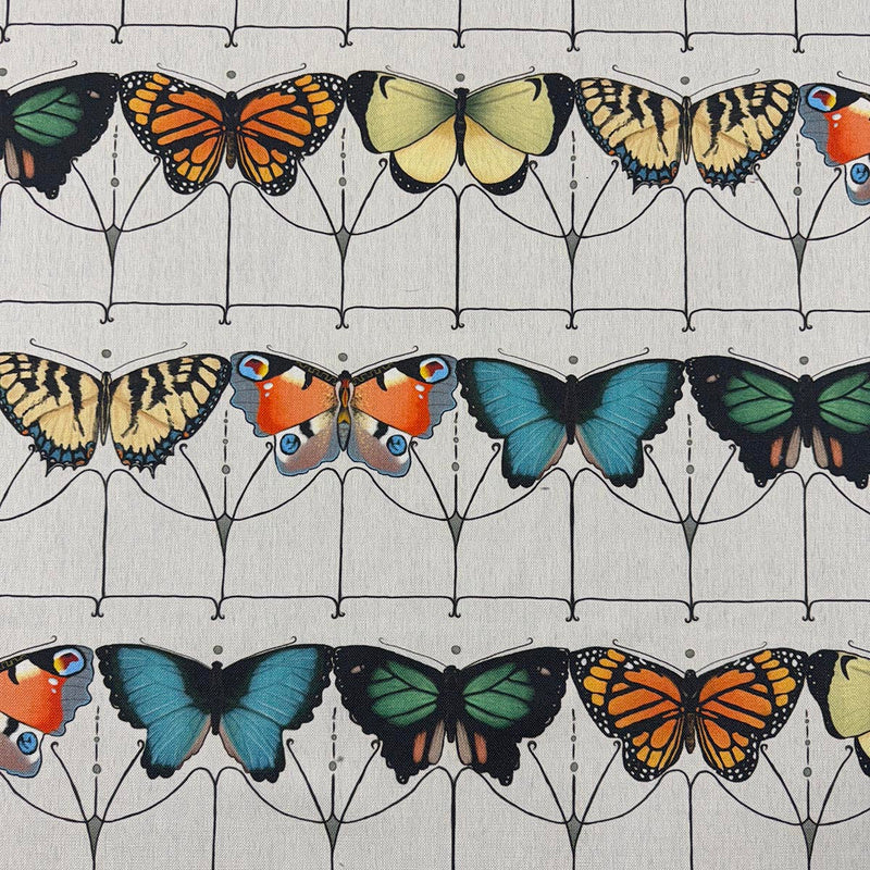 FLUTTER - CHROMATIC - Mag Fabrics - Fabric By The Yard