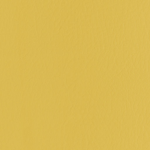 KRAVET CONTRACT - FORZA- DANDELION - Fabric by the Yard DANDELION