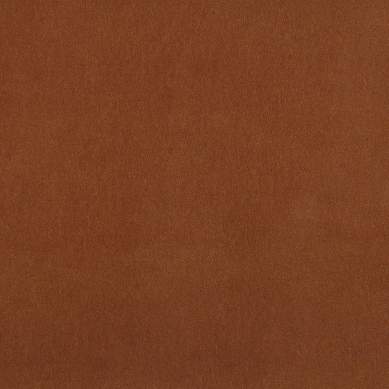 KRAVET DESIGN - KRAVET DESIGN- FUTURO-124 - Fabric by the Yard FUTURO-124