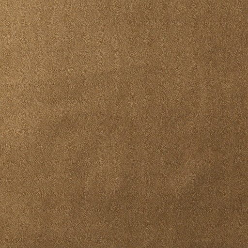 KRAVET DESIGN - FUTURO - Fabric By the Yard