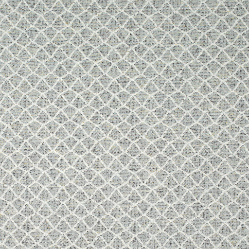 Fairbanks - Moondust - 29 Park - Fabric by the Yard