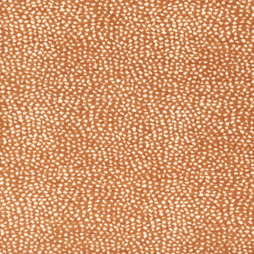 Felix - Adobe - 29 Park - Fabric by the Yard