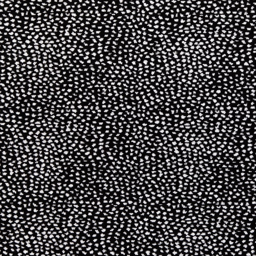 Felix - Dalmatian - 29 Park - Fabric by the Yard