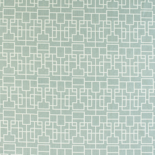 KRAVET DESIGN - GARDEN KEY- CACTUS - Fabric by the Yard CACTUS