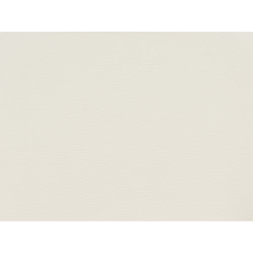 KRAVET DESIGN - GATO - Fabric By the Yard