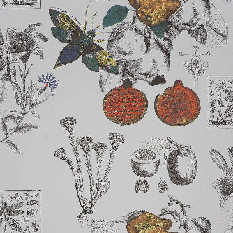 GASTON Y DANIELA - LINNEO- ORIGINAL - Wallcovering by the Roll ORIGINAL