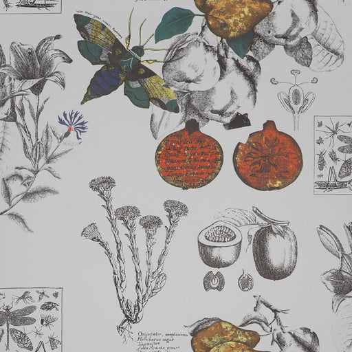 GASTON Y DANIELA - LINNEO- ORIGINAL - Wallcovering by the Roll ORIGINAL