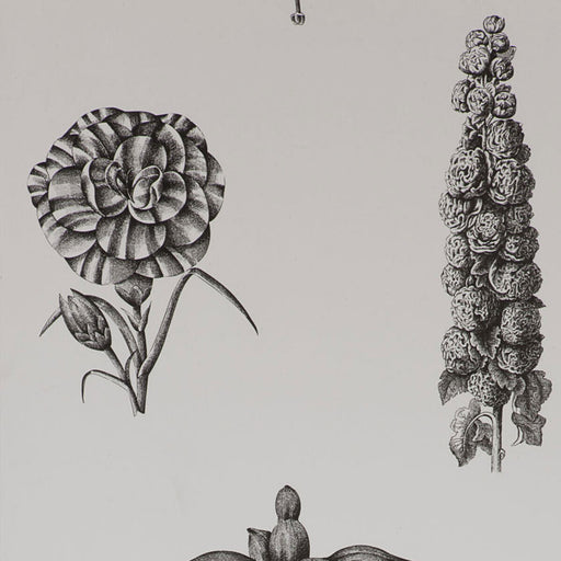 GASTON Y DANIELA - GDT4854 - GUAYANA - Wallpaper By the Roll