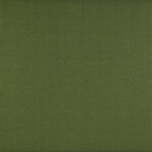 GASTON Y DANIELA - RECOLETOS- VERDE - Fabric by the Yard VERDE