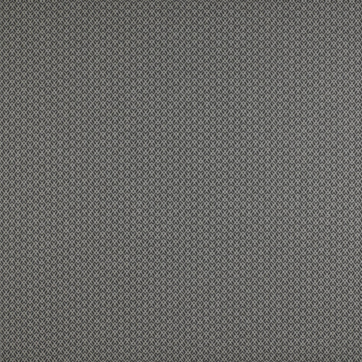 GASTON Y DANIELA - CHUECA- ONYX - Fabric by the Yard ONYX