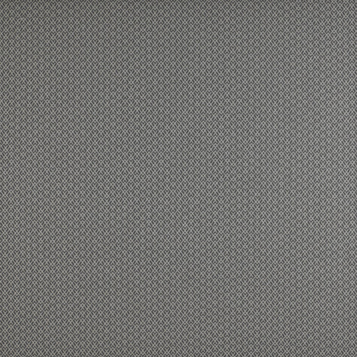 GASTON Y DANIELA - CHUECA- HUMO - Fabric by the Yard HUMO