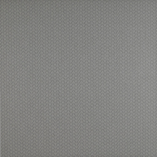 GASTON Y DANIELA - CHUECA- GRIS - Fabric by the Yard GRIS