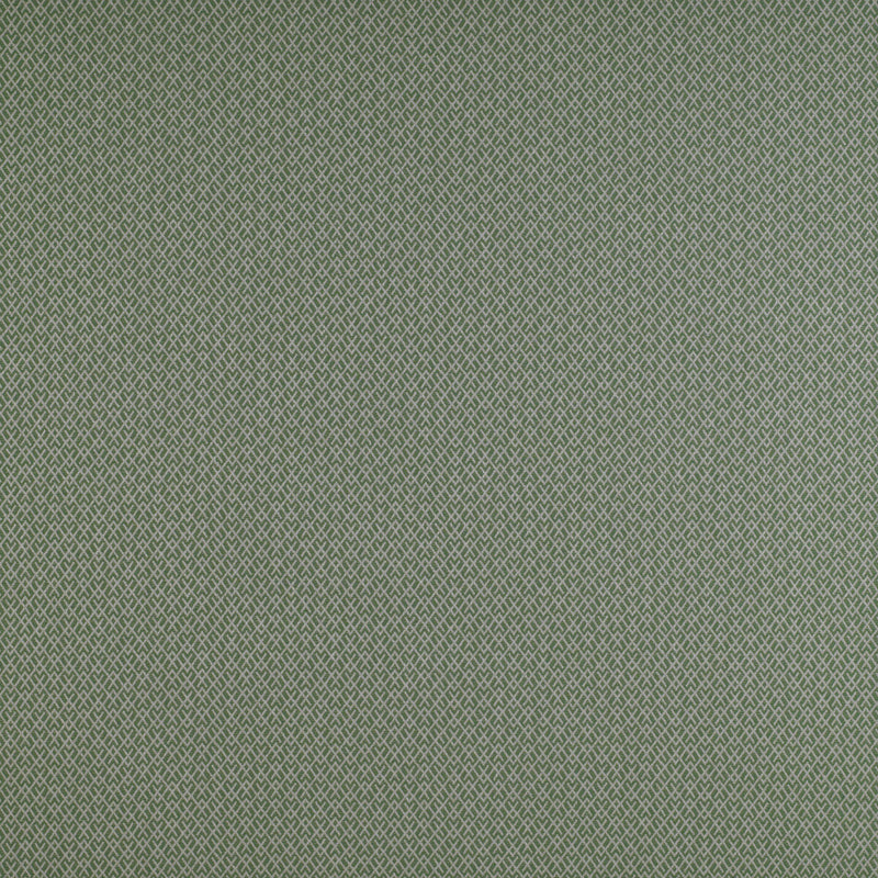 GASTON Y DANIELA - CHUECA- VERDE - Fabric by the Yard VERDE