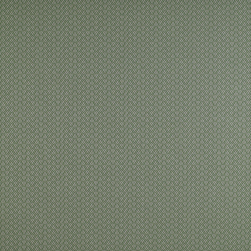 GASTON Y DANIELA - CHUECA- VERDE - Fabric by the Yard VERDE