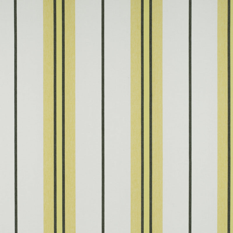 GASTON Y DANIELA - BURANO- ONYX/AMARILLO - Fabric by the Yard ONYX/AMARILLO