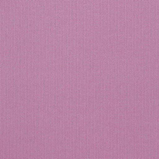 GASTON Y DANIELA - DONALD- FRAMBUESA - Fabric by the Yard FRAMBUESA