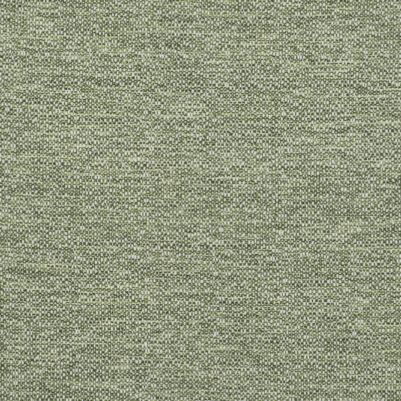 GASTON Y DANIELA - IN- VERDE - Fabric by the Yard VERDE