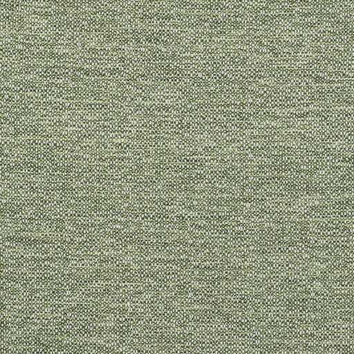 GASTON Y DANIELA - IN- VERDE - Fabric by the Yard VERDE