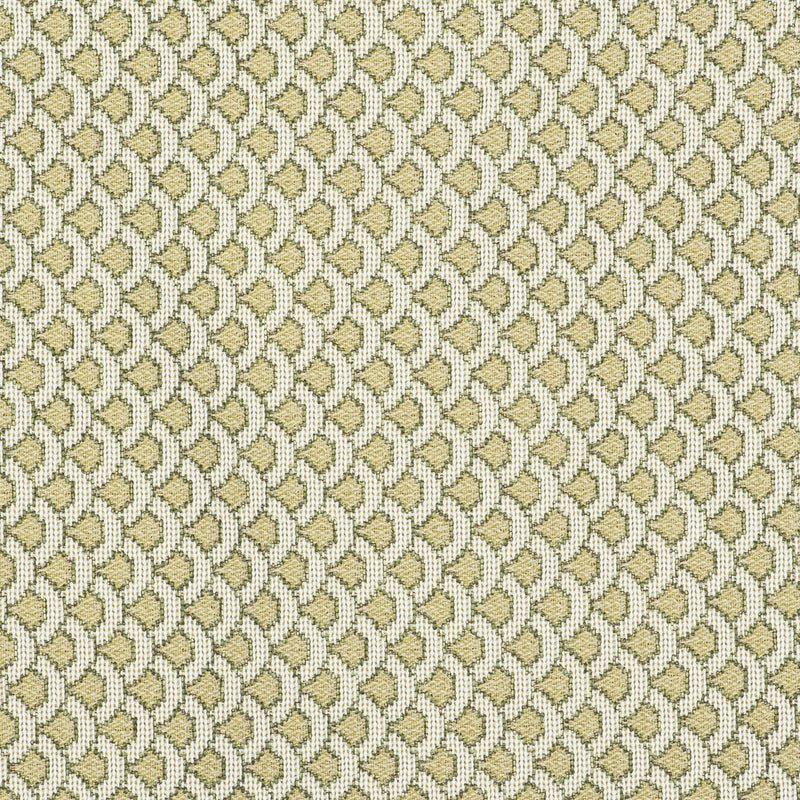 GASTON Y DANIELA - ONDAS- VERDE - Fabric by the Yard VERDE