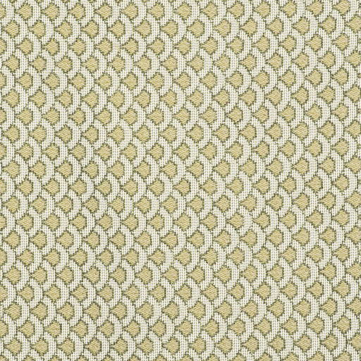 GASTON Y DANIELA - ONDAS- VERDE - Fabric by the Yard VERDE