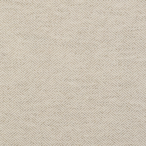 GASTON Y DANIELA - GDT5518 - ENEA - Fabric By the Yard