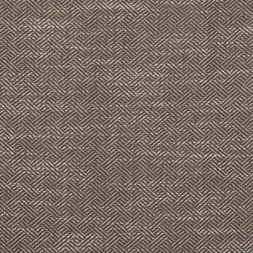 GASTON Y DANIELA - ENEA- TOSTADO - Fabric by the Yard TOSTADO