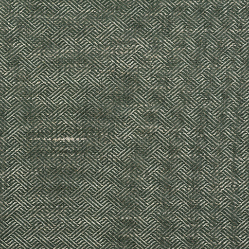 GASTON Y DANIELA - ENEA- VERDE - Fabric by the Yard VERDE