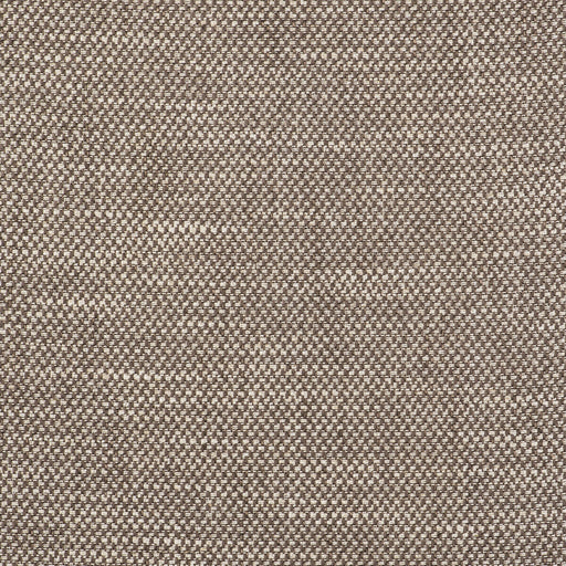 GASTON Y DANIELA - ACACIA- TOSTADO - Fabric by the Yard TOSTADO