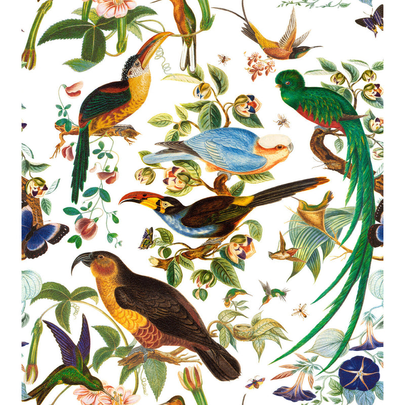 GASTON Y DANIELA - OAXACA- BLANCO - Fabric by the Yard BLANCO