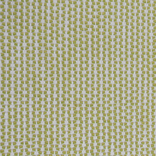 GASTON Y DANIELA - PALENQUE- LIMA - Fabric by the Yard LIMA