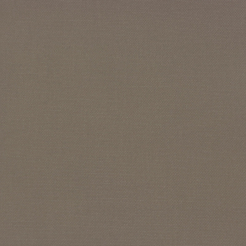 GASTON Y DANIELA - PALMA- CARTON - Fabric by the Yard CARTON