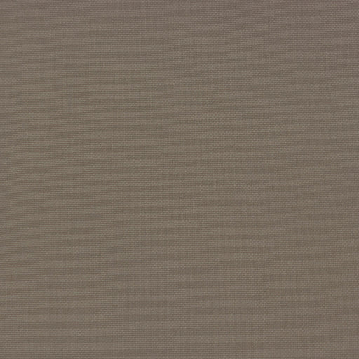 GASTON Y DANIELA - PALMA- CARTON - Fabric by the Yard CARTON