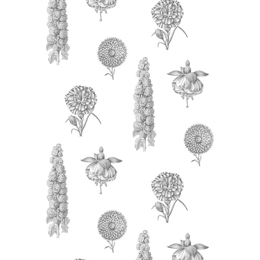 GASTON Y DANIELA - GDW4854 - GUAYANA - Wallpaper By the Roll