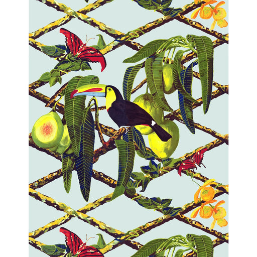 GASTON Y DANIELA - GDW5453 - TUCAN - Wallpaper By the Roll