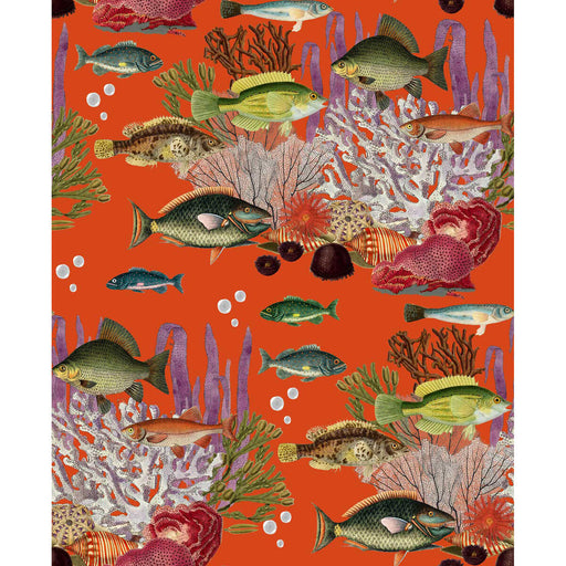GASTON Y DANIELA - CORALES- QUISQUILLA - Wallcovering by the Yard QUISQUILLA