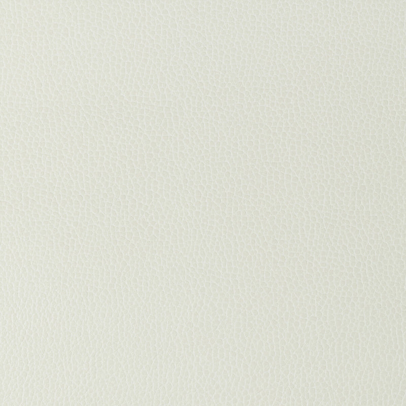 KRAVET DESIGN - KRAVET DESIGN- GILLIAN-101 - Fabric by the Yard GILLIAN-101