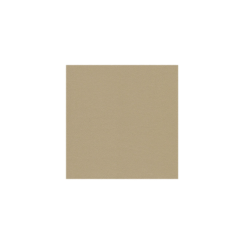 KRAVET DESIGN - KRAVET DESIGN- GILLIAN-116 - Fabric by the Yard GILLIAN-116