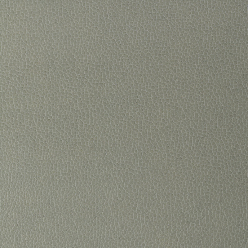 KRAVET DESIGN - KRAVET DESIGN- GILLIAN-11 - Fabric by the Yard GILLIAN-11