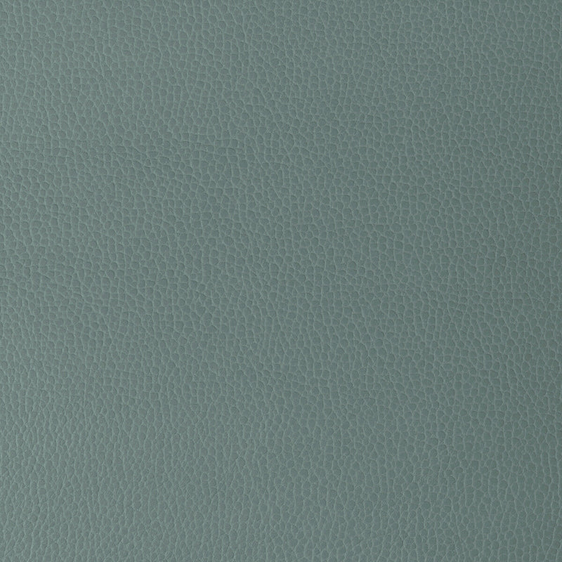 KRAVET DESIGN - KRAVET DESIGN- GILLIAN-15 - Fabric by the Yard GILLIAN-15